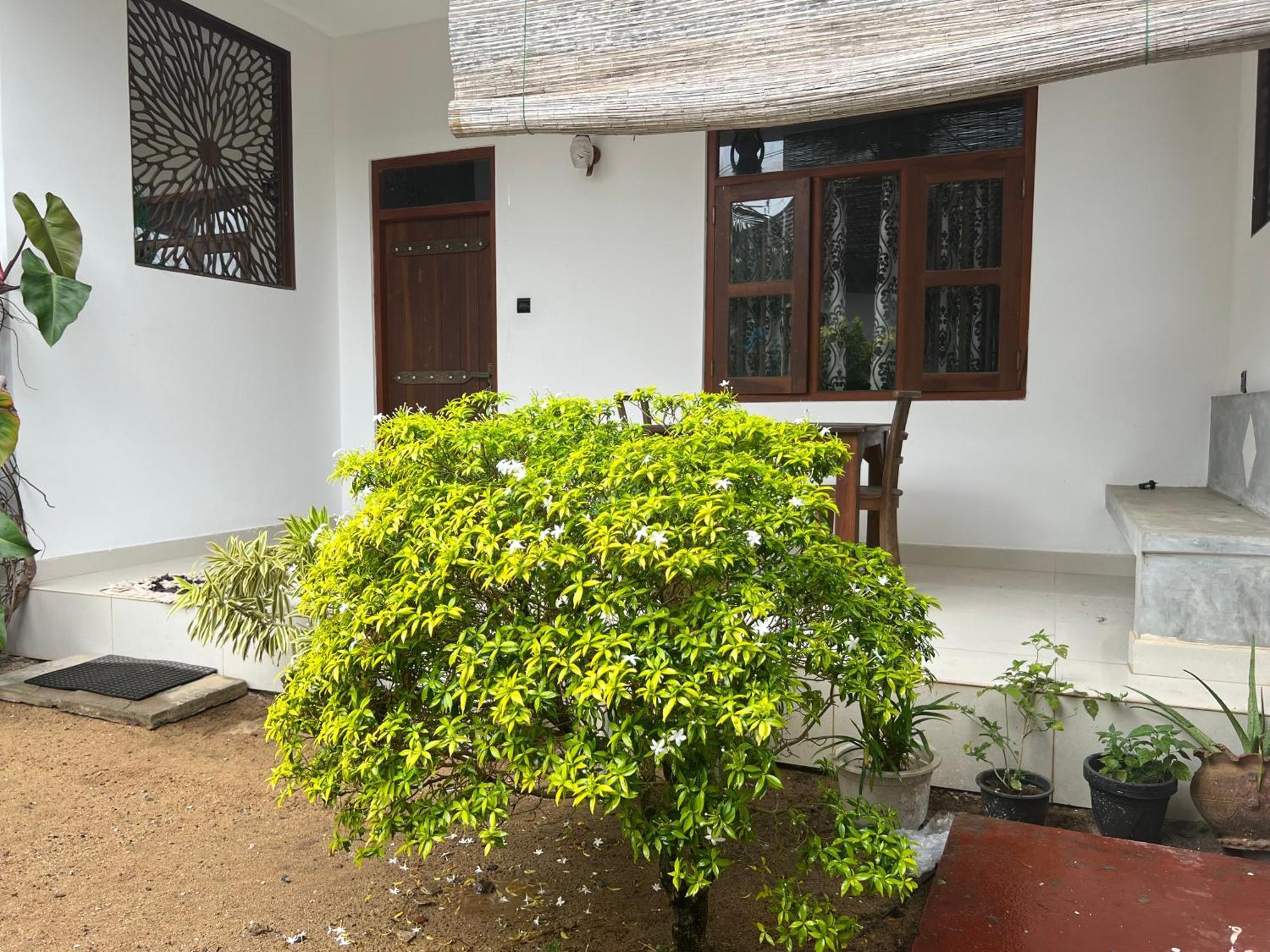 Awesome Guest Mirissa Hotel Exterior foto
