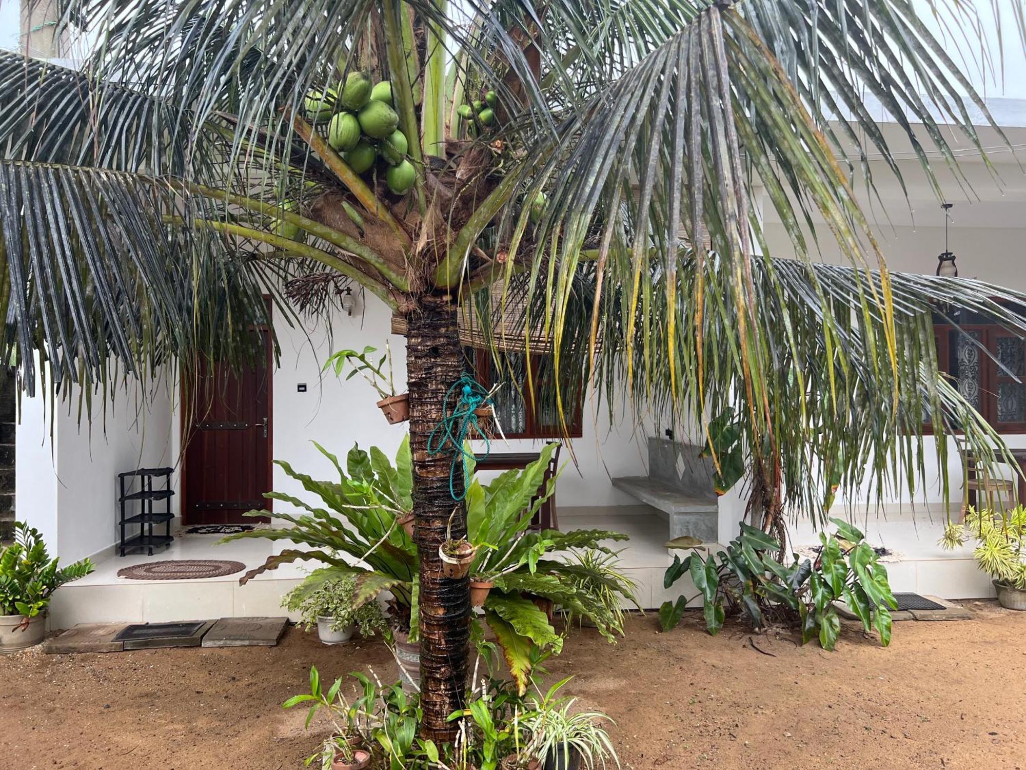 Awesome Guest Mirissa Hotel Exterior foto